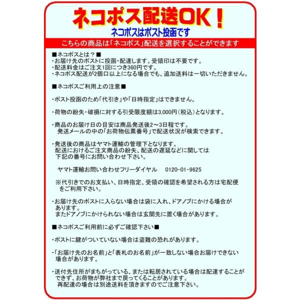 マジカル無添加 中華風だし 80g 簡単 中華 だし かんたん 出汁 無添加 粉末 時短 ネコポス配送ok Buyee Buyee 日本の通販商品 オークションの代理入札 代理購入