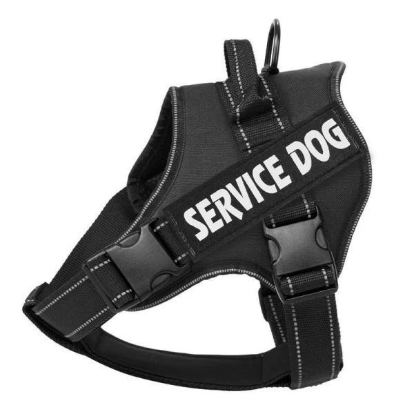 ハーネス 犬 名前入り 名入れ おしゃれ 反射 抜けにくい 痛くない 犬用ハーネス 小型 中型 大型 首輪 胴輪 語対応