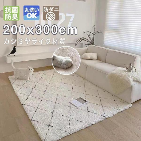 ラグ 洗える 滑り止め付 カーペット 6畳 おしゃれ オールシーズン 最大サイズ200×300まで 北欧 ホットカーペット 冬 絨毯 マット ラグマット