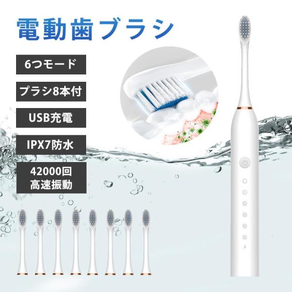電動歯ブラシ 音波歯ブラシ 替えブラシ付き 充電式 IPX7防水 静音 歯磨き 携帯 子供 大人 軽量 コンパクト