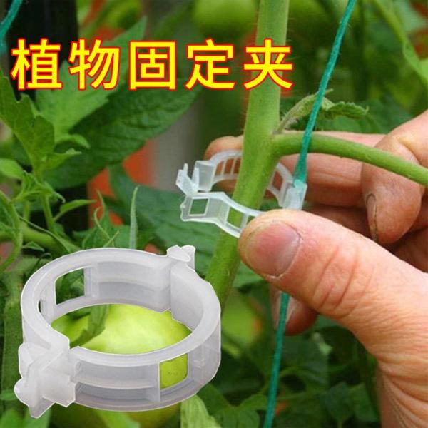 つる性植物 固定クリップ プラスチック 再利用可能 植物サポートクリップ 農業用 吊り苗 カチッと止める トマト スイカ つる固定クリップ