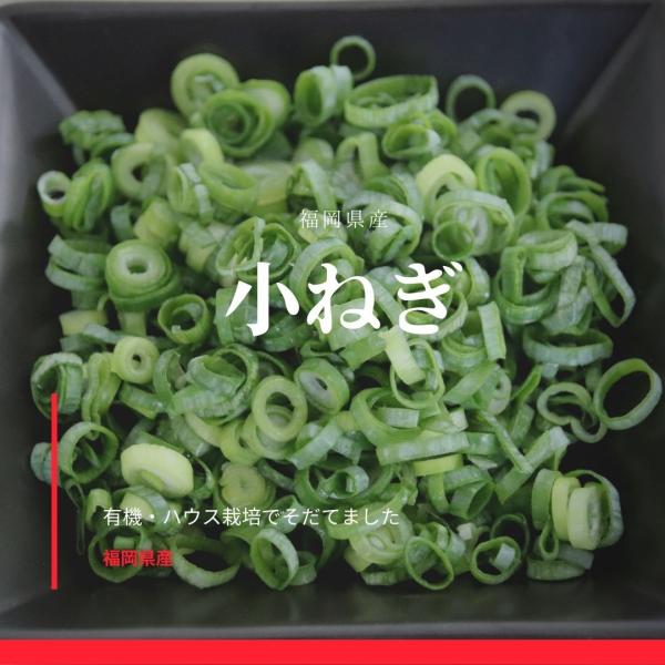 福岡県産カットねぎ福岡県を代表する博多万能ねぎの産地　朝倉町より産地直送でお届けいたします。品種:こうとう（中原採種）産地：福岡県産リング：10ｍｍ以下カット幅:2ミリ 品質管理条件：冷蔵・冷凍消費期限：3日主な効果効能：疲労回復・血液改善...