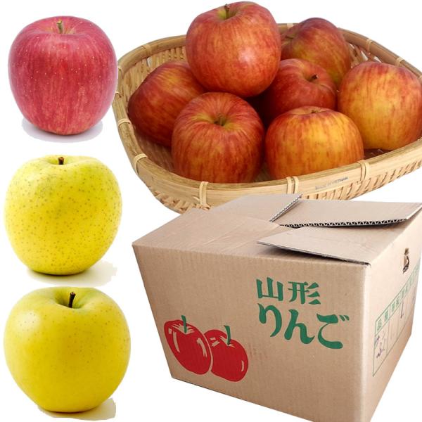 予約販売 訳あり りんご サンふじ シナノゴールド 王林 ミックス 10kg