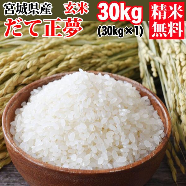 米 玄米 30kg (30kg×1袋) だて正夢 令和5年産 宮城県産 精米無料