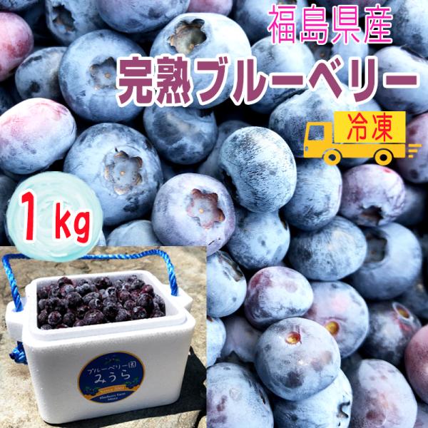 ブルーベリー 1kg 福島県産 減農薬 無化学肥料栽培 冷凍
