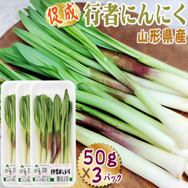 山形県では、山菜やきのこを活かした食文化が古くから根付き、雪深い冬の厳しい寒さの間に、ビニールハウス内で加湿し栽培する「促成山菜」の栽培が行われています。美味しいのはもちろん、天ぷら、炊き込みご飯、和え物、肉巻き、おひたし、煮物やパスタの具...