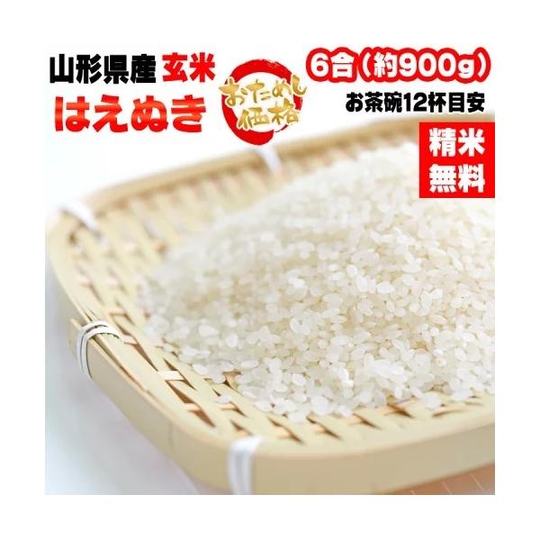 はえぬき 米 お米 送料無料 900g (6合) 令和6年産 山形県産 白米 はえぬき 米 お米 送料無料 900g (6合) 令和6年産 山形県産 白米