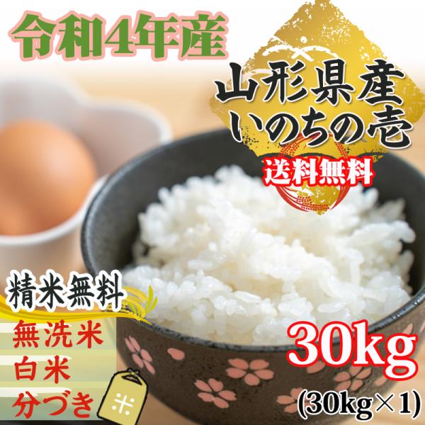 米 玄米 30kg いのちの壱 30kg×1袋 令和4年産 山形県産 精米無料 米 玄米 30kg いのちの壱 30kg×1袋 令和4年産 山形県産 精米無料