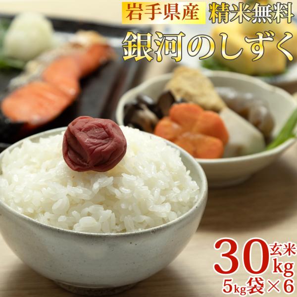米 お米 5kg×6 銀河のしずく 玄米30kg 令和7年産 岩手県産 白米・無