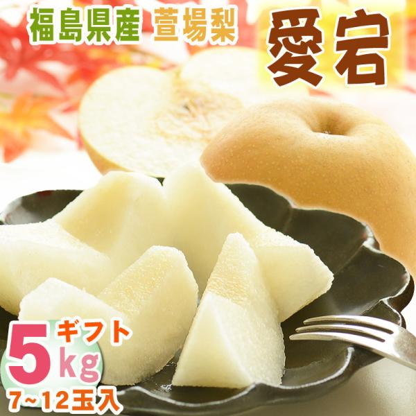 予約販売 梨 愛宕 5kg 7玉〜12玉入り萱場梨 福島県産 11月中旬から次発送 [愛宕 ギフト ５キロ] 送料無料 ギフト