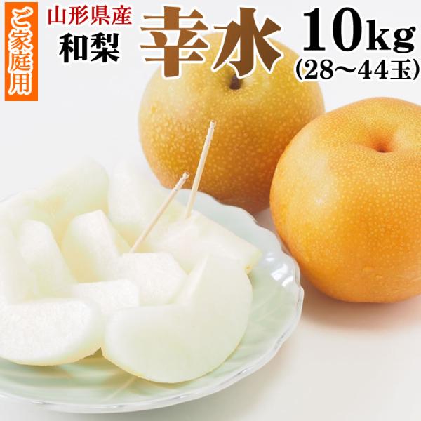 予約販売 8月末〜9月上旬頃順次発送 山形県産 和梨 幸水 10kg 28〜44玉(5kg×2箱)  送料無料 ご家庭用 [幸水１０キロ]