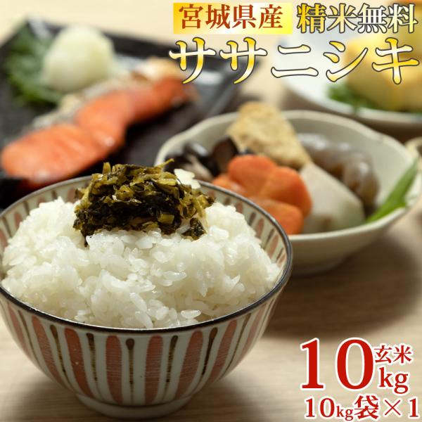 ササニシキ 米 お米 10kg×1 玄米10kg 令和6年産 宮城県産 白米 ササニシキ 米 お米 10kg×1 玄米10kg 令和6年産 宮城県産 白米