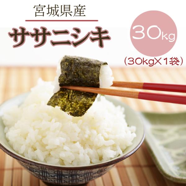 ササニシキ 米 お米 玄米30kg 令和6年産 宮城県産 白米・無洗米 ササニシキ 米 お米 玄米30kg 令和6年産 宮城県産 白米・無洗米