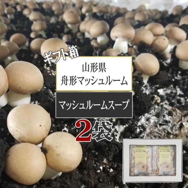 [ }bV[X[v2܃Zbg BY3] ̂ Mtg lΉ YP [  