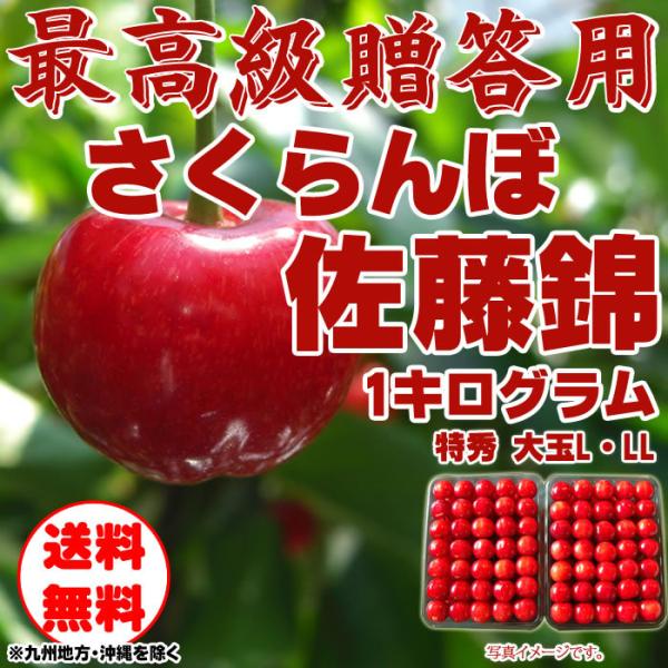 さくらんぼ 秀の人気商品・通販・ さくらんぼ 秀の人気商品・通販・