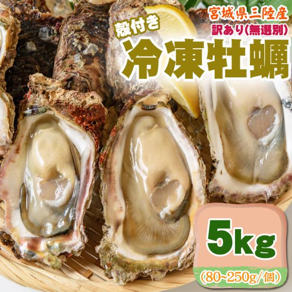 訳あり 冷凍牡蠣 5kg 80〜250g/個 宮城県 三陸産 生食可 業務用 ご家庭