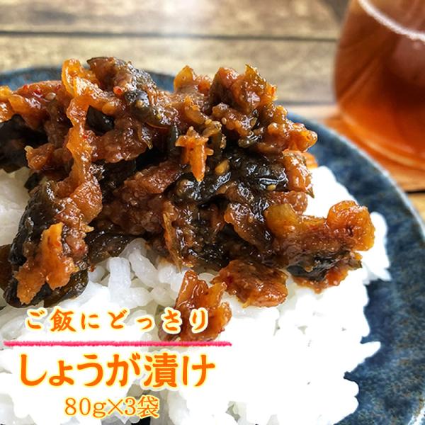 パリパリきゅうりと、シャキシャキしょうが・味噌の風味が香るごはんのお供です。ごはんに乗せるだけではなく、そうめんや冷奴、お茶漬けの具材にも最適です。