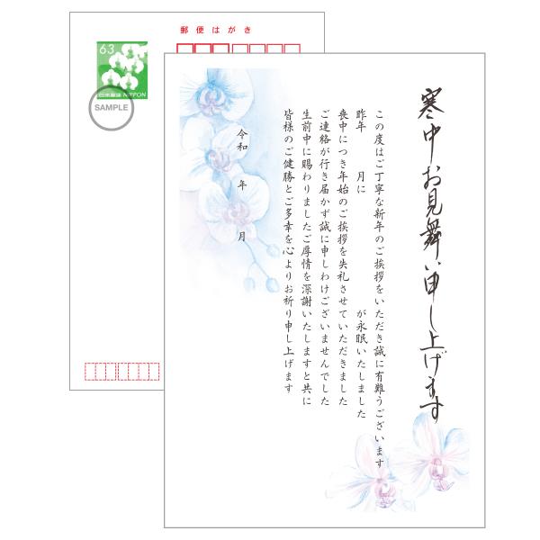 寒中見舞い 官製ハガキ 喪中 喪中はがきを出せなかった文例 胡蝶蘭 切手付 切手不要 記入欄あり 10枚 セット イラスト付