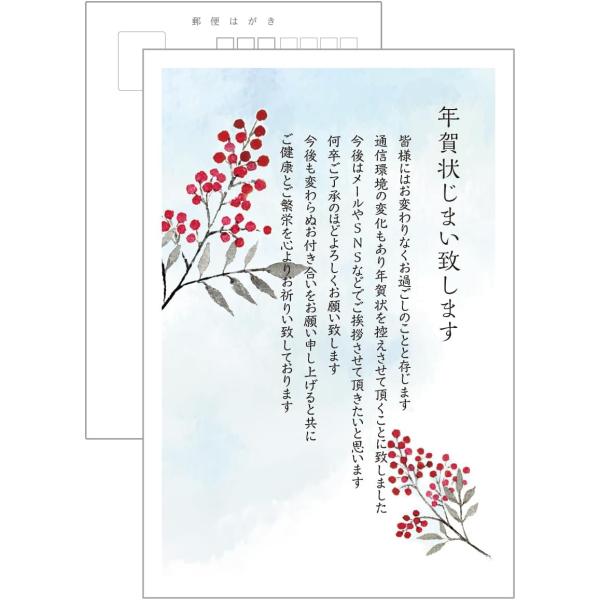 年賀状じまい はがき 葉書 ハガキ 年賀状仕舞い 今後はメールなどでご挨拶 高齢を理由に 高齢 終活 時代の変化 年賀状辞退 10枚 私製はがき (なんてん)