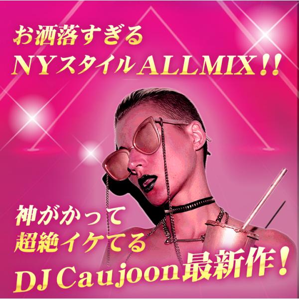 パーティー お洒落 Djコージュン セレブリティー Nyスタイル 洋楽cd Mixcd Epix 53 Celebrity Party Mix 21 Dj Caujoon M便 2 12 Buyee Buyee 일본 통신 판매 상품 옥션의 대리 입찰 대리 구매 서비스