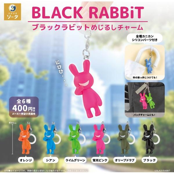BLACK RABBiT めじるしチャーム ブラックラビット 全6種セット ソータ