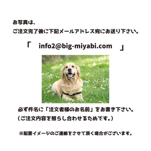 miyabi-s_fp02_5_d_20250603154941