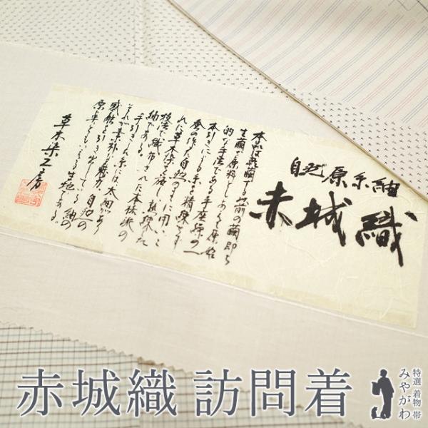 赤城紬 袷 訪問着 草木染工房 自然原糸織 正絹 絹 アイボリー モダン柄