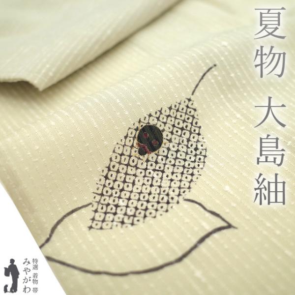 夏物 着物 未使用 正絹 本場大島紬 大島紬美術館 アイボリー てんとう 