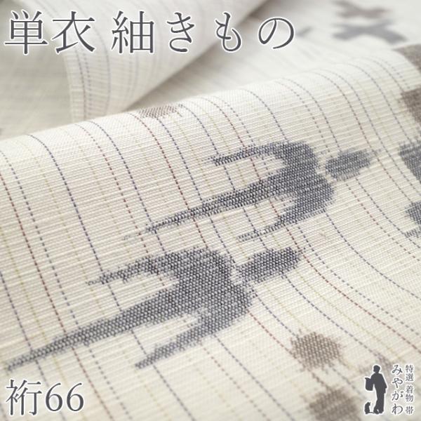 紬 単衣 着物 未使用 正絹 十日町 灰白色地 琉球絣 細縞 カジュアル 春 秋 新古品 仕立て上がり 身丈159 裄丈66 Ｍサイズ みやがわ sb18025