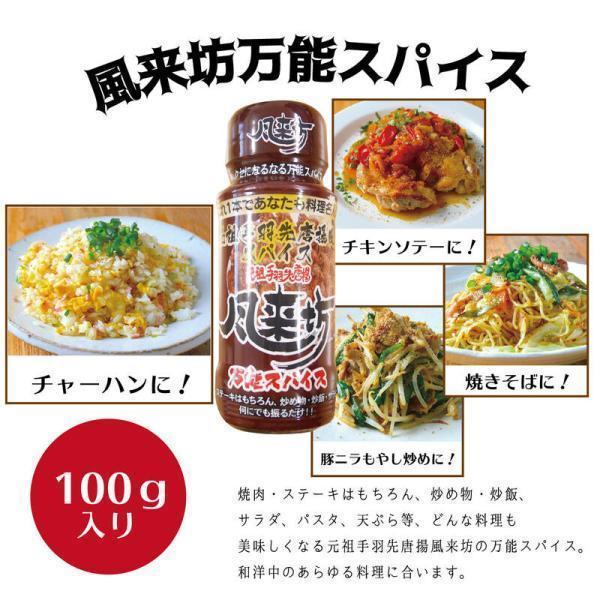 ■名称：スパイス調味料■原材料名：食塩(国内製造)、胡椒、チキン調味粉末、ガーリック、醤油、フライドガーリック、レッドベルペッパー、コリアンダー、パプリカ、グリーンベルペッパー、パセリ、オニオン粉末、マジョラム、オレガノ、唐辛子、バジル/調...