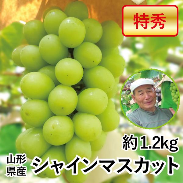 1.2kg シャインマスカット 山形 特秀 600g以上×2房 ぶどう 送料無料 山形県 産地直送 お取り寄せ 週末発送  仙台いろは もん前の里