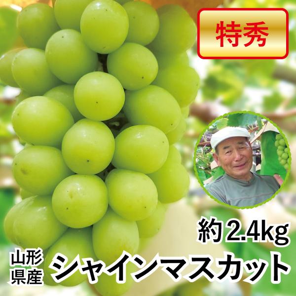2.4kg シャインマスカット 山形県産 特秀 600g以上×4房 ぶどう 送料無料 産地直送 お取り寄せ 贈答 週末発送  仙台いろは もん前の里