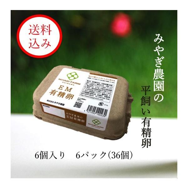 みやぎ農園の平飼い有精卵 (6個入り6パック※36個) : みやぎ農園 - 通販