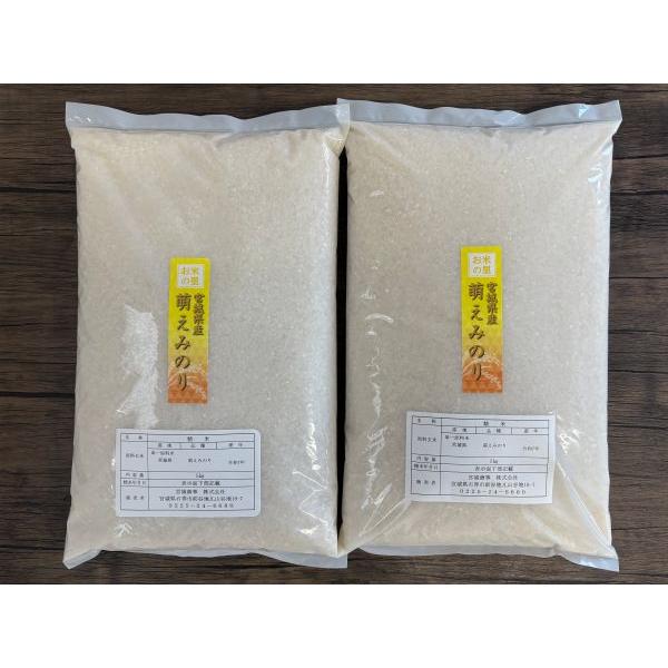 新米 萌えみのり精米10kg（5kg×2袋） 令和7年度 宮城県北産