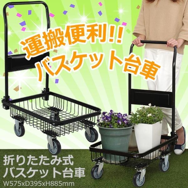 ܂肽ݎ oXPbg J[g ^ ViAEgbg