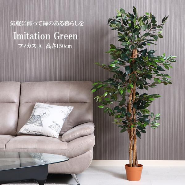 lHϗtA tBJX tFCNO[ ^