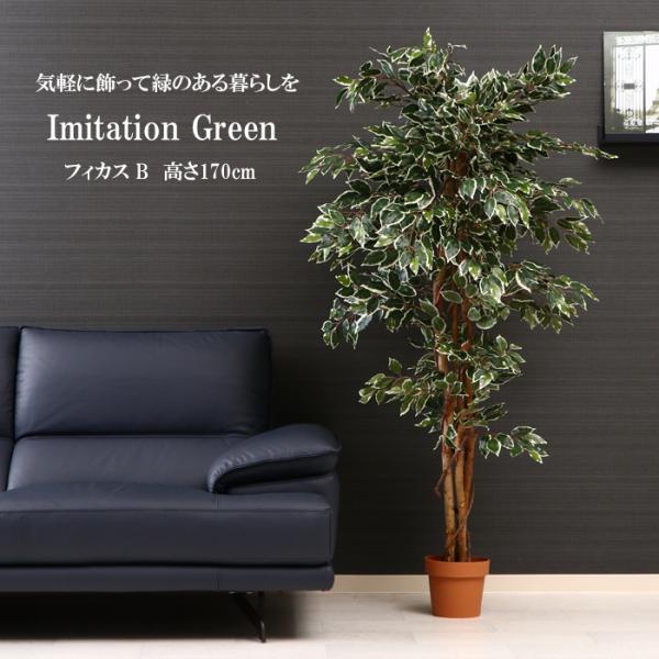 lHϗtA tFCNO[ tBJX ^ 7