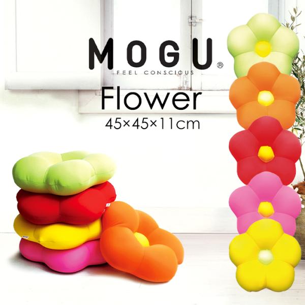 r[YNbV t[ pE_[r[Y NbV