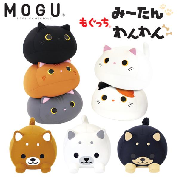 r[YNbV lR Ck pE_[r[Y ʂ ݁[ 