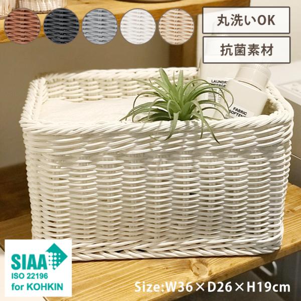 miyaguchi_msnrk-0007