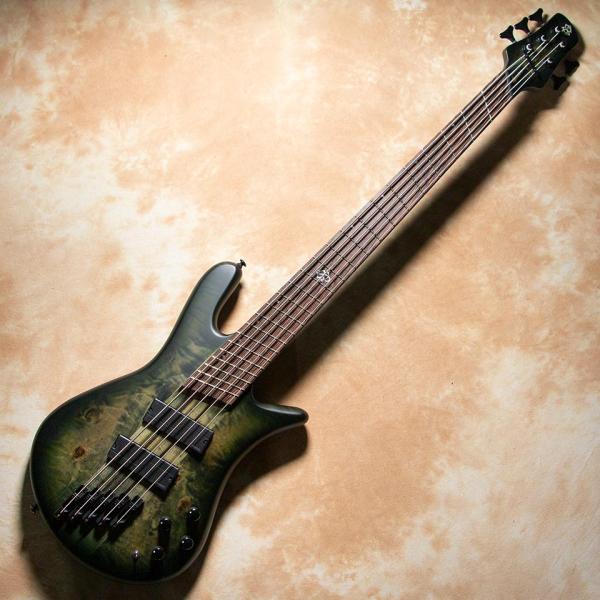 Spector/NS DIMENSION MS 5 Haunted Moss Matte : 宮地楽器 ららぽーと