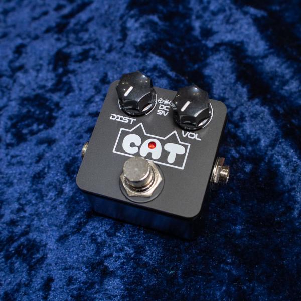 ギター THE NEXT SOUND Super CAT THE NEXT SOUND/CH-06 CAT 新デザイン! : 宮地楽器 ららぽーと立川立飛