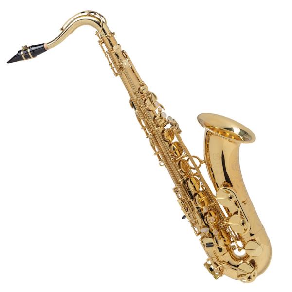 30 Off テナーサックス Selmer Axos 21モデル 管楽器 おもちゃ ホビー グッズ 179 6 Www Dawajen Bh