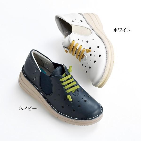 EH[LO V[Y fB[X / \tgRrvSRp`OEH[LOV[Y / 40 50 60 70 ~ZX VjA C