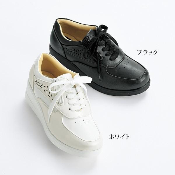 EH[LOV[Y fB[X / p`OEH[LOV[Y / 40 50 60 70 ~ZXt@bV VjAt@bV C