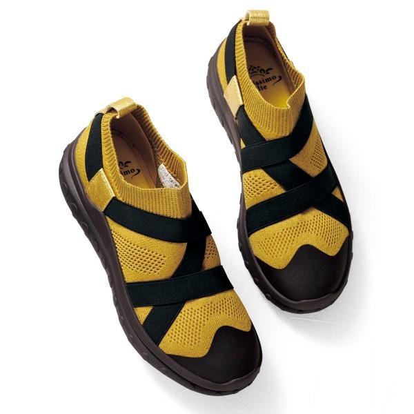 EH[LO V[Y fB[X / JVAe ubN\[Xgb`EH[LOV[Y / 40 50 60 70 ~ZX VjA C