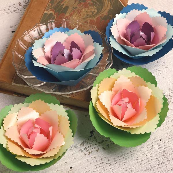 ペーパーファンタジークラブ（PFC）シリーズ「ブルームキット 葉ぼたん『祝福』」は、紙で作る美しい花を楽しむためのアートキットです。1セットでお花のアート作品4個分を制作することができます。3セット購入すると、合計12個のお花で、花のくす玉...