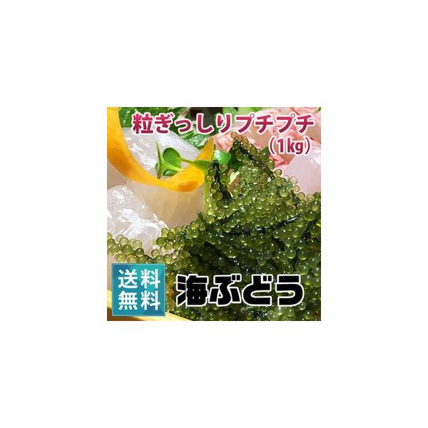 【商品情報】●商品名：海ぶどう（1kg）●内容量：1kg●賞味期限：商品発送日より5日以内お召し上がりくださ●保存方法：直射日光を避け、常温で保存。（冷蔵・冷凍不可）●原材料：海ぶどう（くびれづた）●生産地：宮古島市●商品説明 【ご注意】（...
