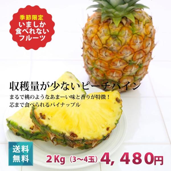 朝取り ピーチパイン2kg 3 4玉 もぎたて パイナップル 沖縄 宮古島 国産 フルーツ 385じまyahoo 店 通販 Yahoo ショッピング