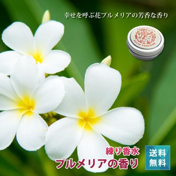アヤグナチュラ 練り香水 プルメリアの香り アルコールフリー 肌に優しい ソリッドフレグランス 贈答 贈り物 プレゼント レディース メンズ Buyee Buyee Japanese Proxy Service Buy From Japan Bot Online